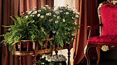 Диван Modenese Gastone Villa Venezia