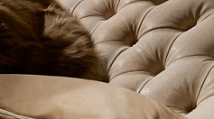 Диван Cornelio Cappellini NICOLE2300