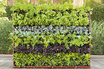Садовая мебель Paola Lenti Greenery