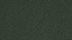 Диван Bellotti Ezio 4681  BELLOTTI ESIO